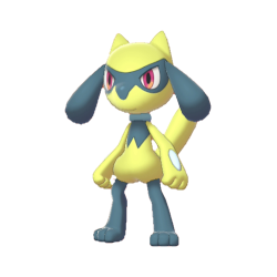 #447 Riolu